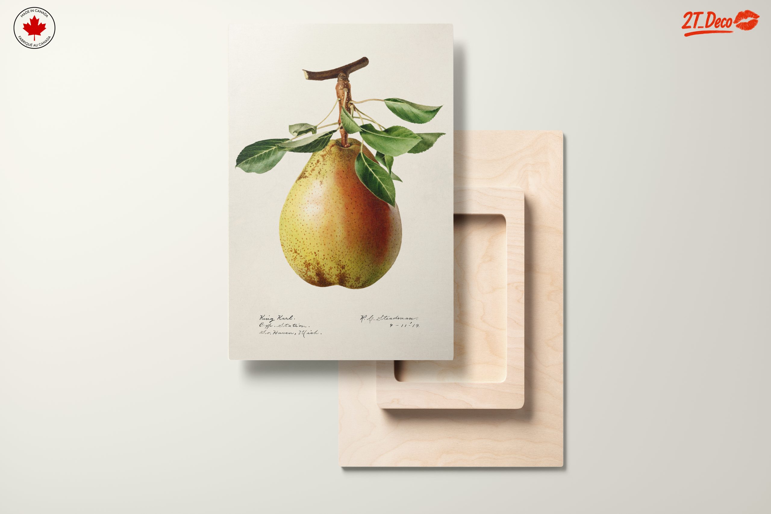 Detailed Botanical Art of a Pear - Image 11