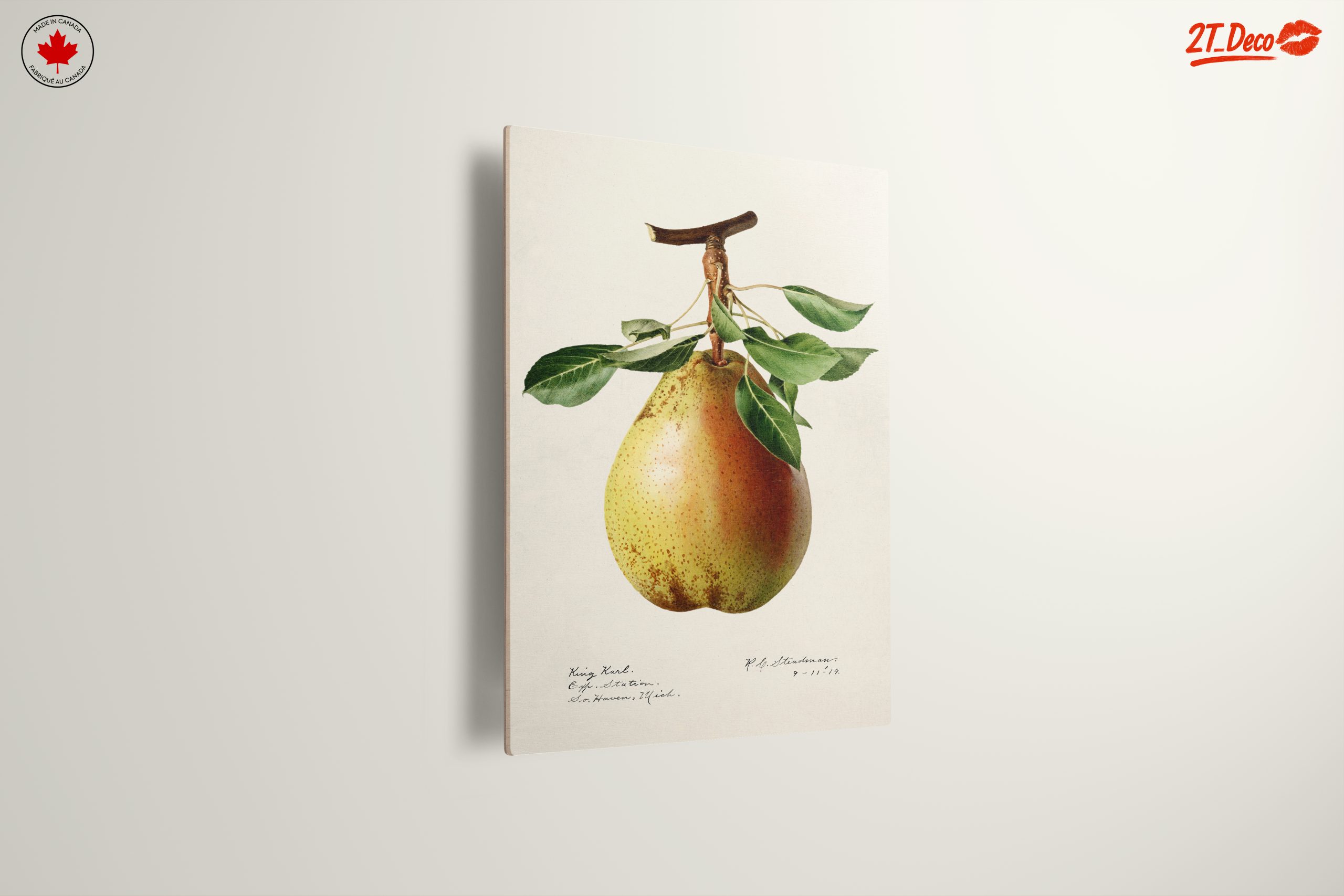 Detailed Botanical Art of a Pear - Image 13
