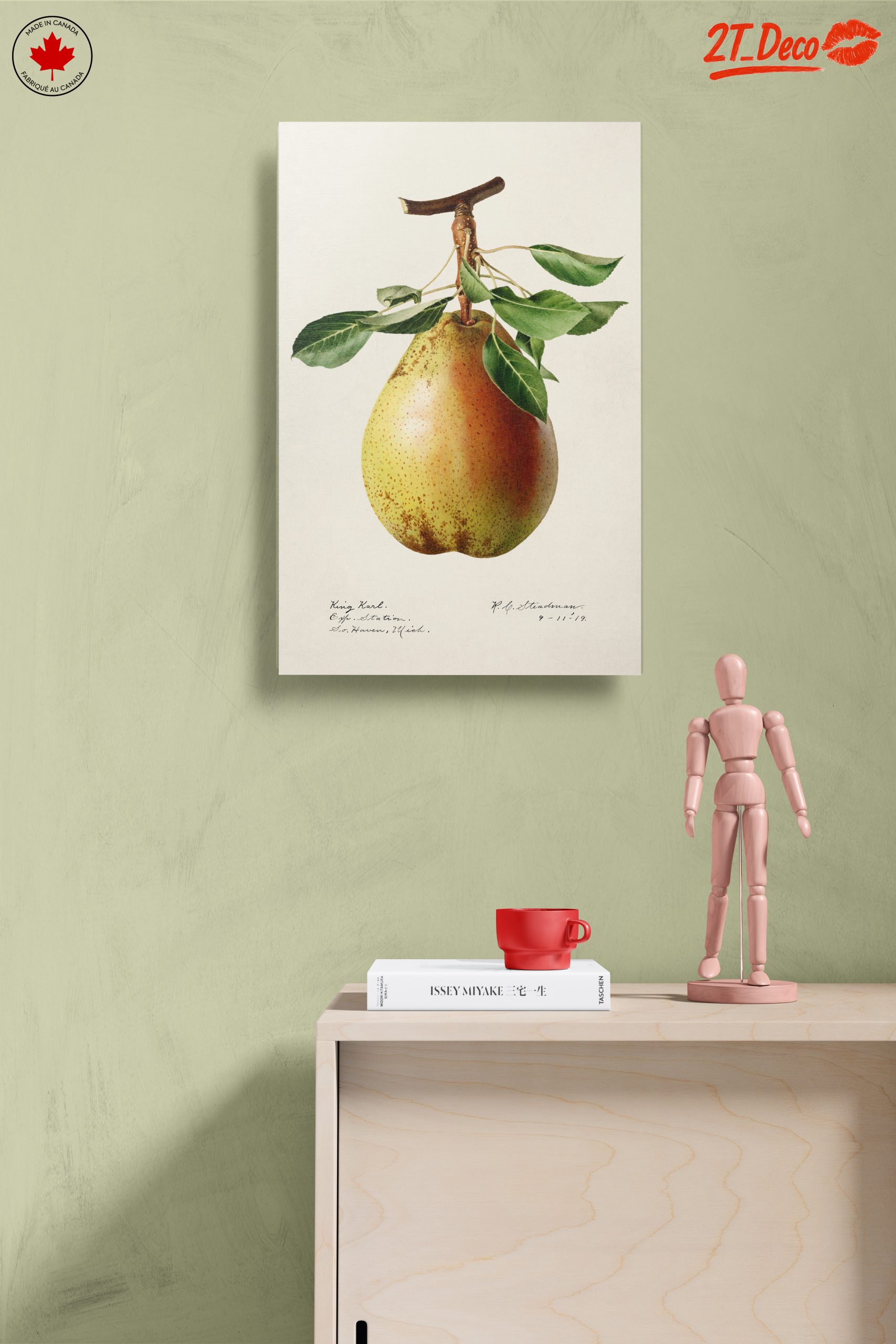 Detailed Botanical Art of a Pear - Image 14