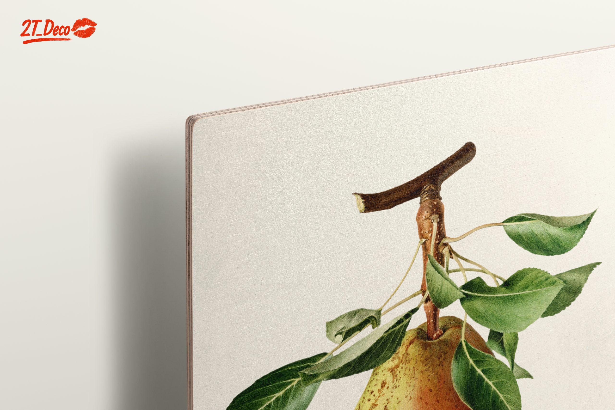 Detailed Botanical Art of a Pear - Image 15