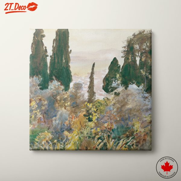 Serene Nature Landscape with Cypress Trees