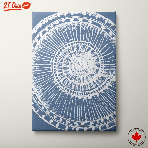 Stylized Shell Botanical Art