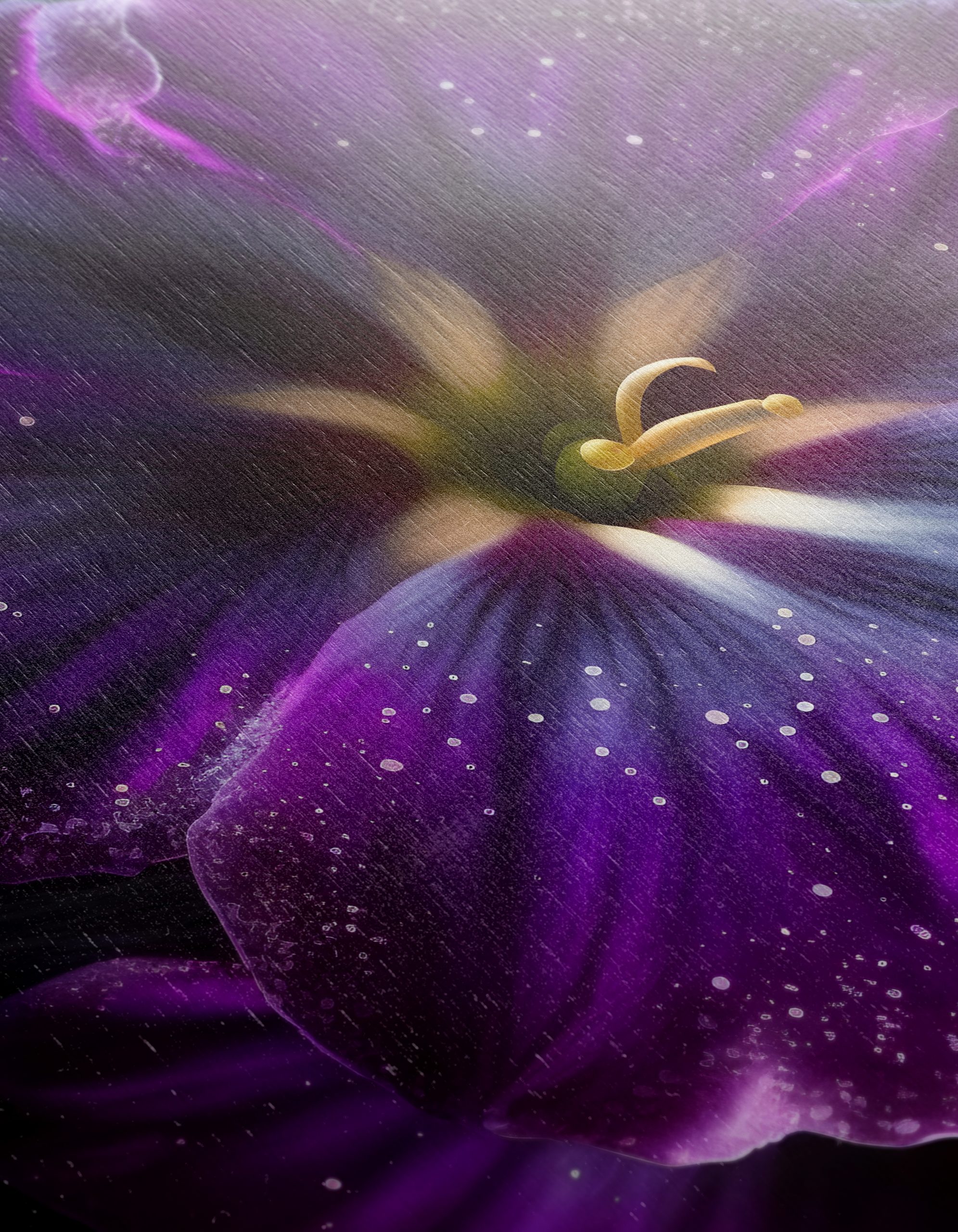 Vibrant Floral Arrangement with Deep Purple Petals - Image 12