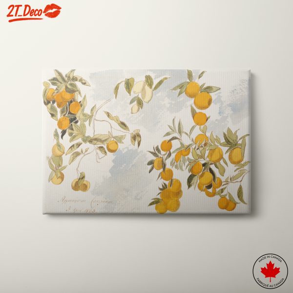 Oranges and Leaves Botanical Art 2
