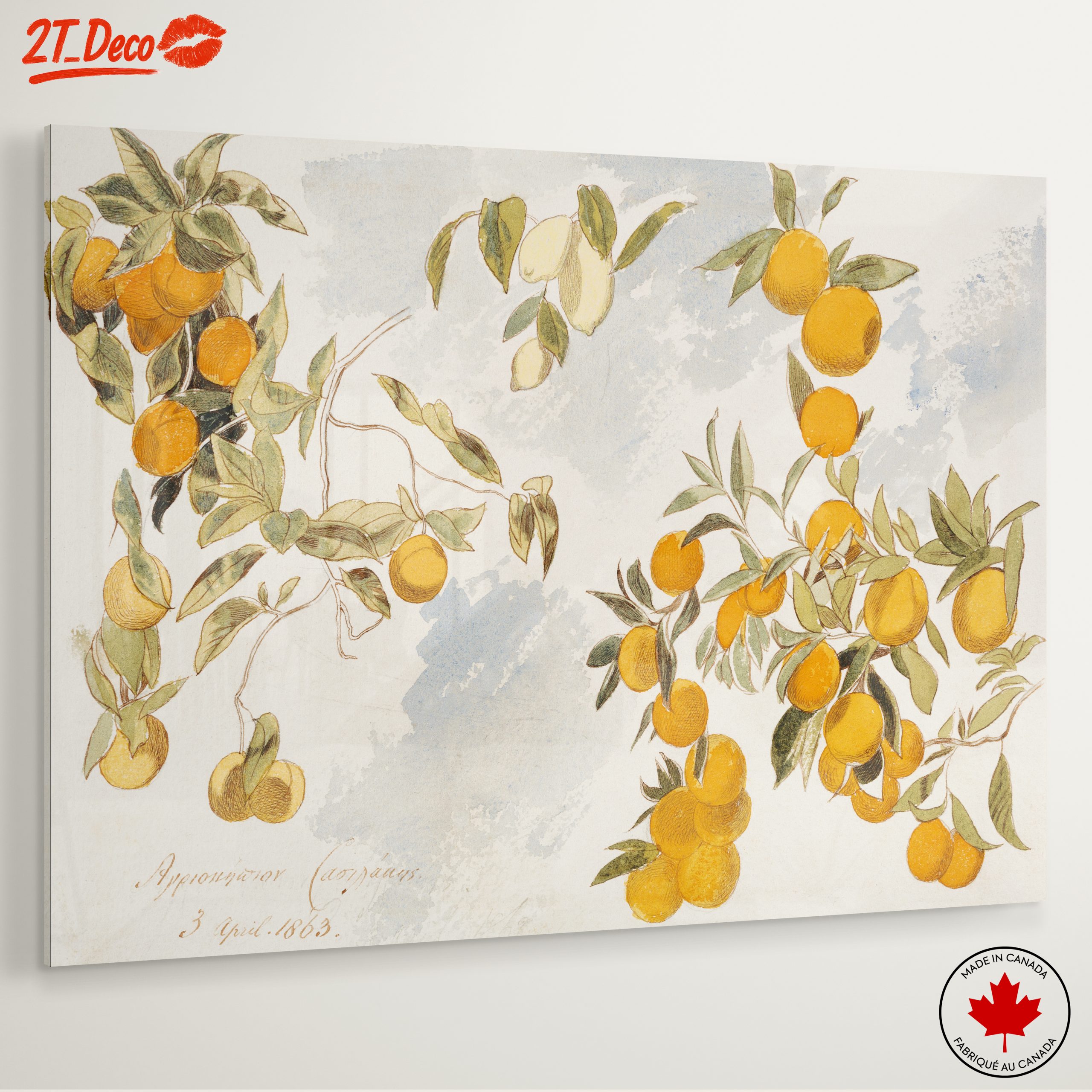 Oranges and Leaves Botanical Art 2 - Image 6