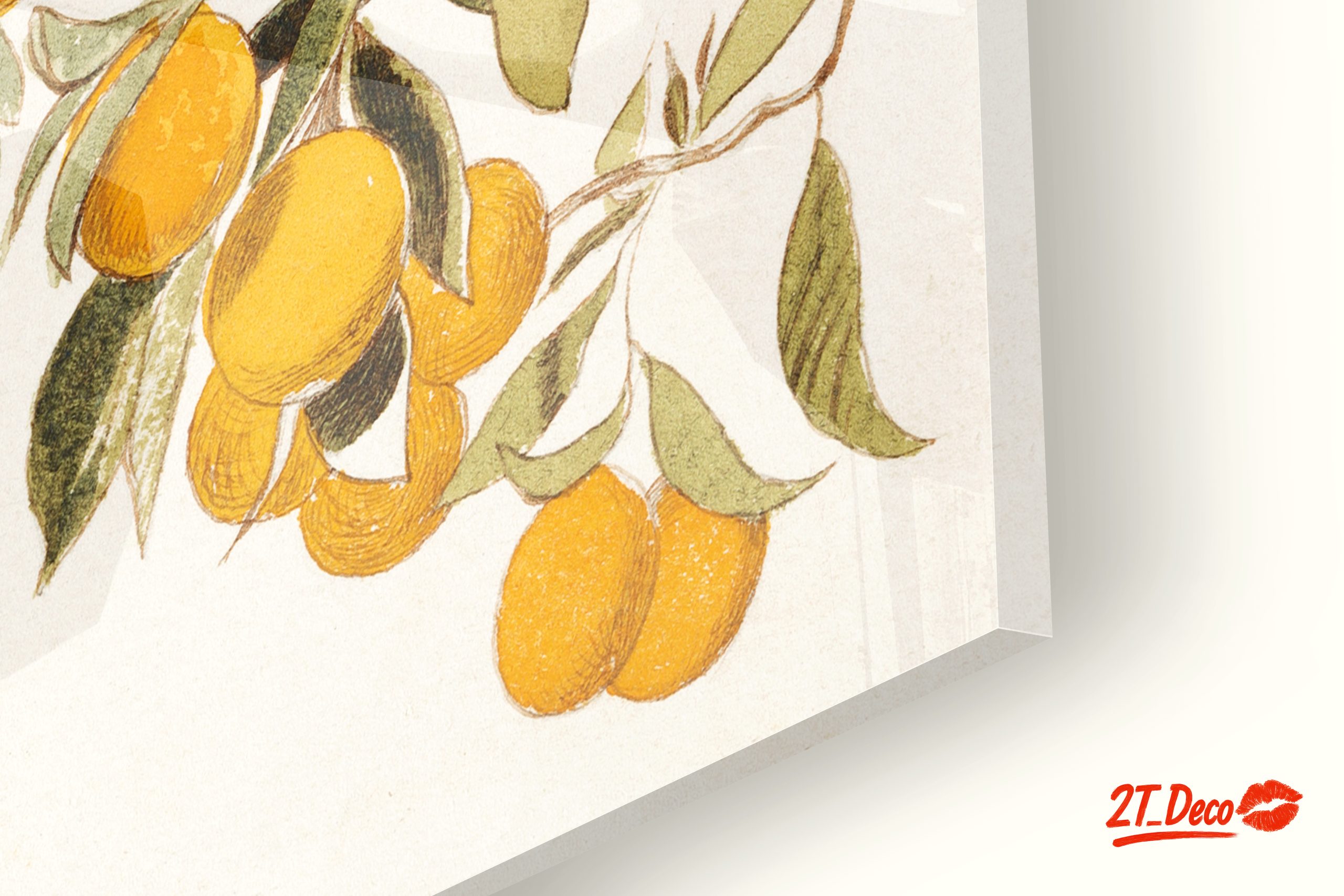 Oranges and Leaves Botanical Art 2 - Image 9