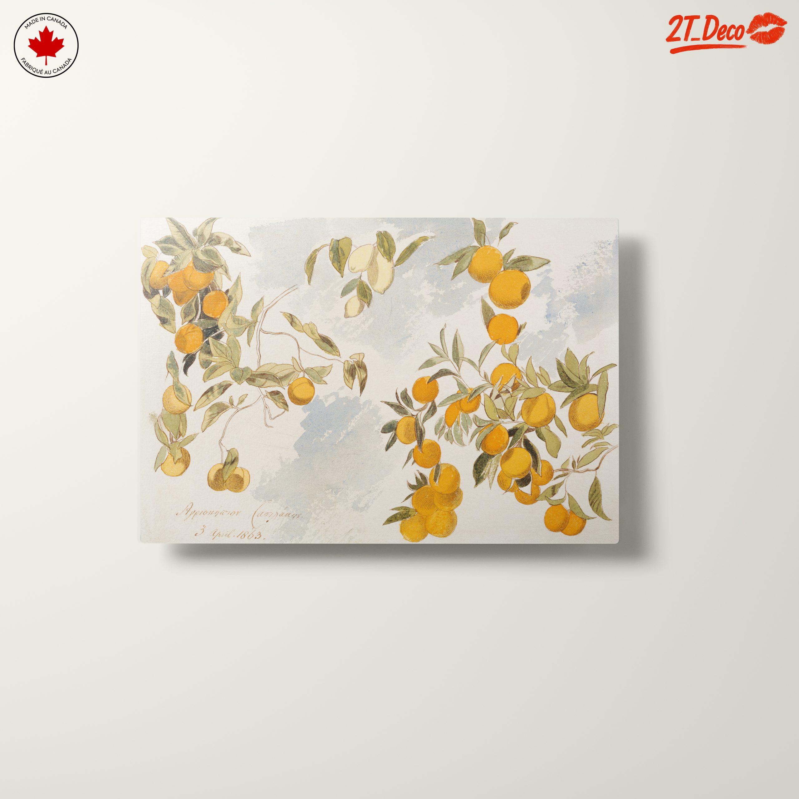 Oranges and Leaves Botanical Art 2 - Image 10