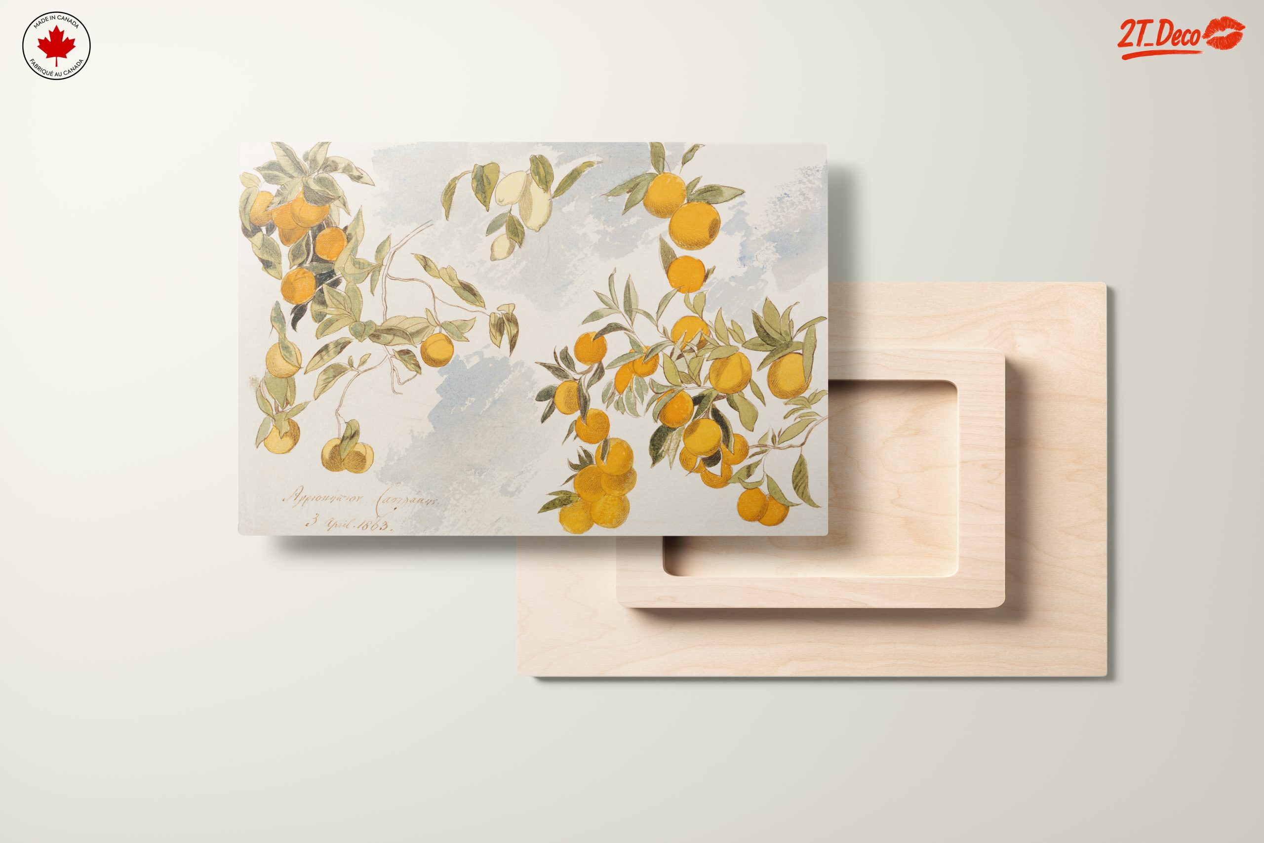 Oranges and Leaves Botanical Art 2 - Image 11