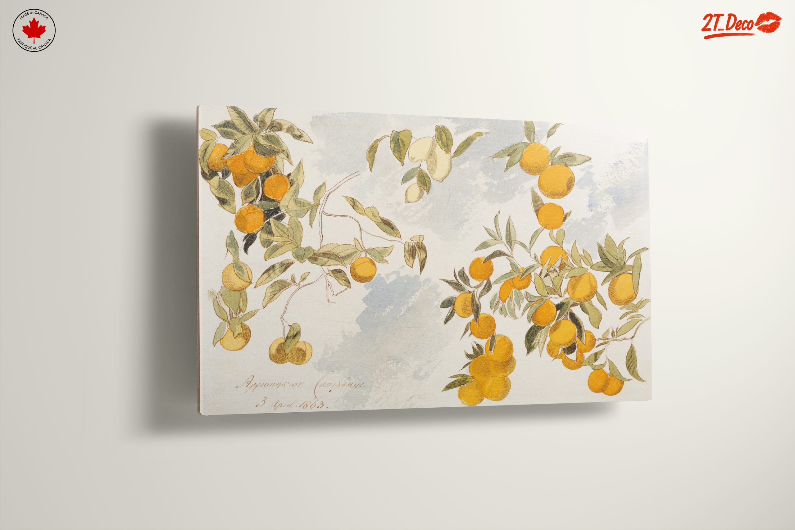 Oranges and Leaves Botanical Art 2 - Image 13