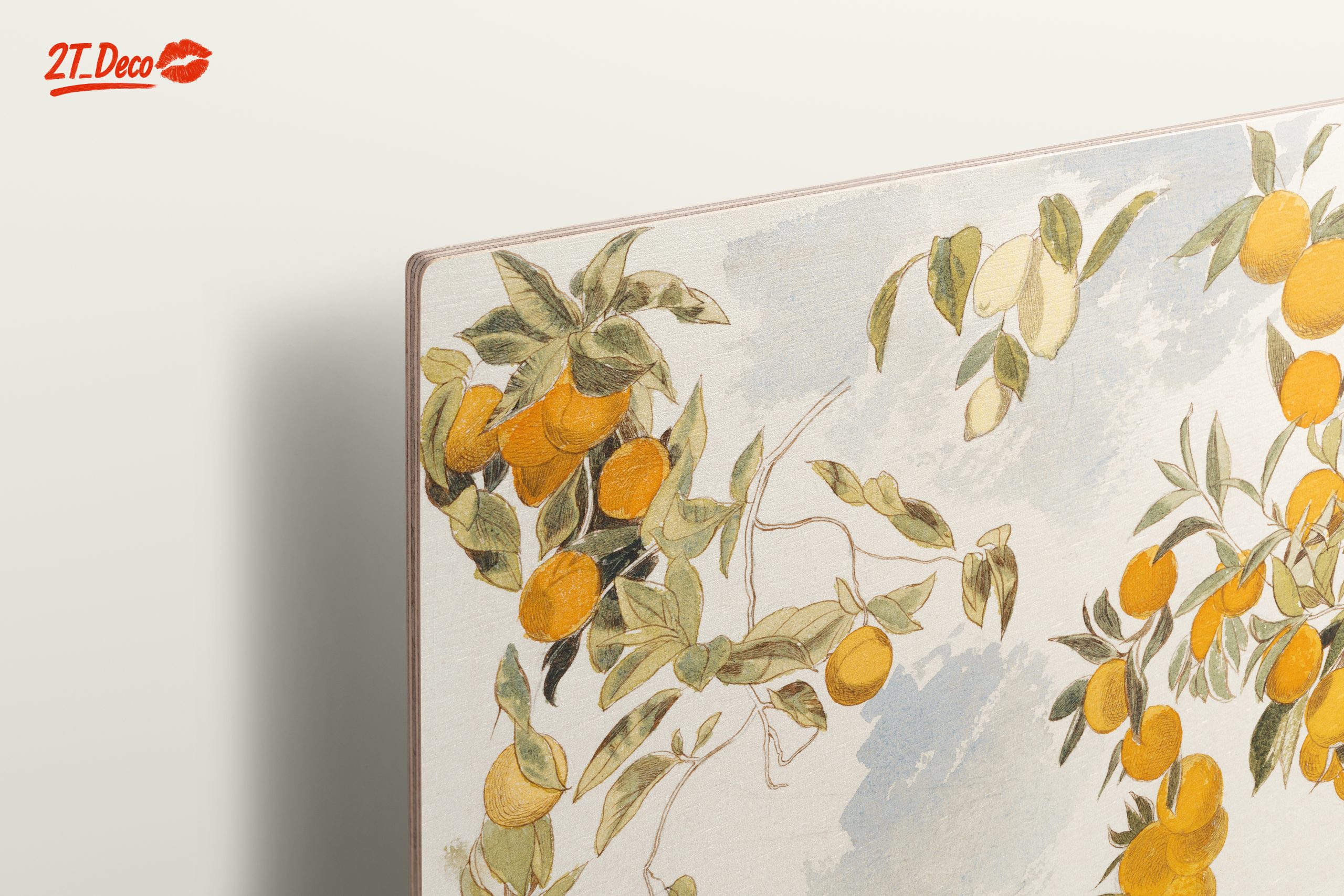 Oranges and Leaves Botanical Art 2 - Image 15