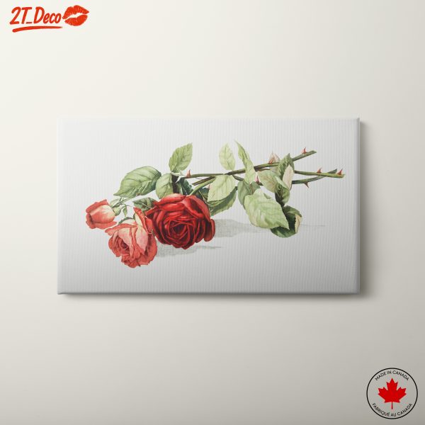 Botanical Art of Classic Roses