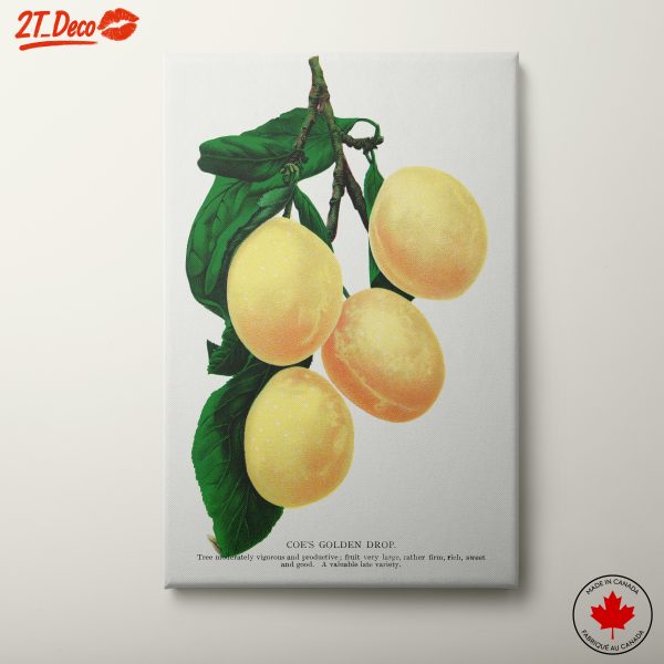 Coe's Golden Drop Lemons Art