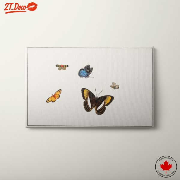 Variety of Butterflies Art for Home Decor