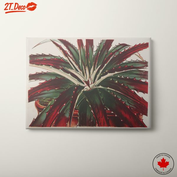 Vibrant Botanical Illustration of a Plant