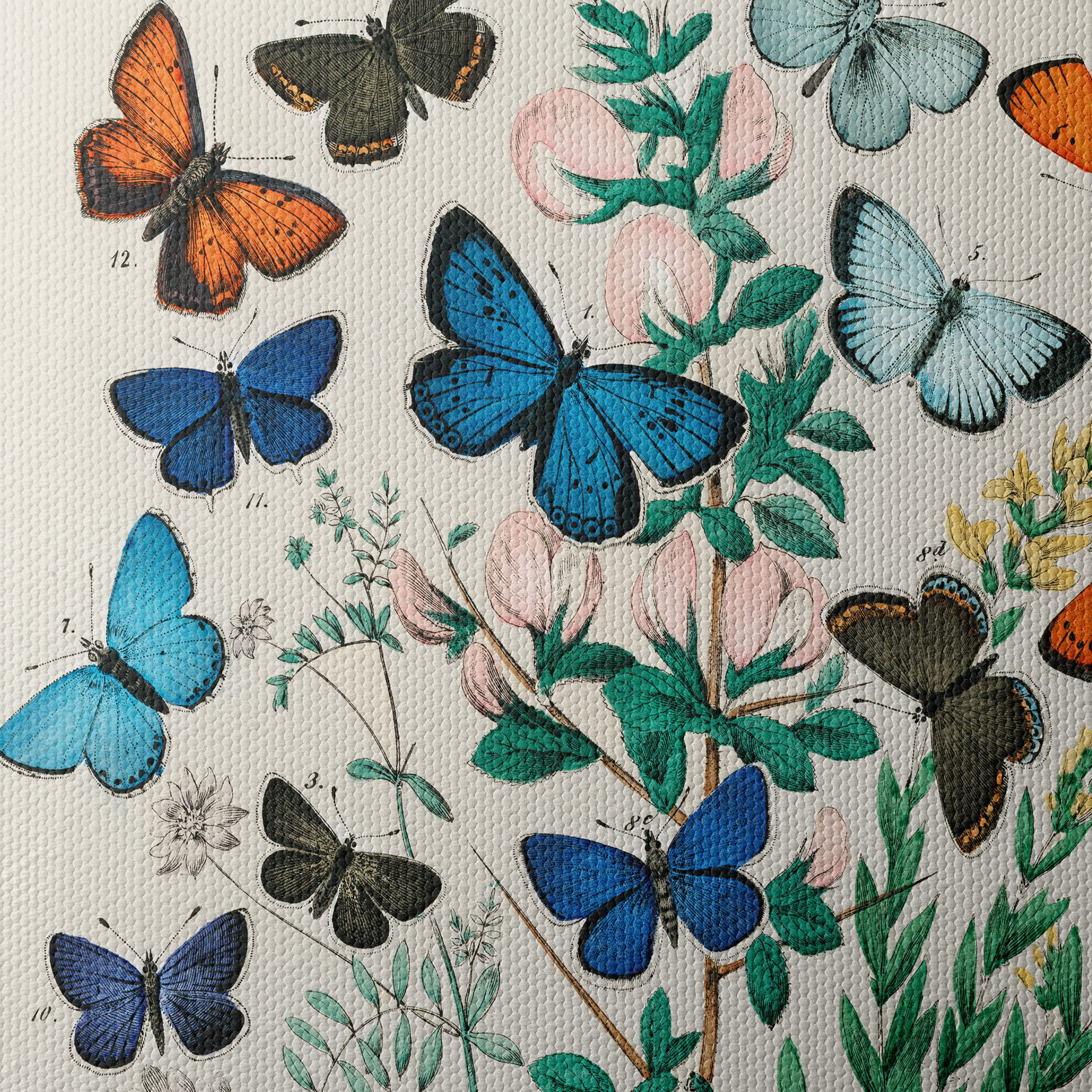 Colorful Botanical Illustration of Butterflies - Image 4