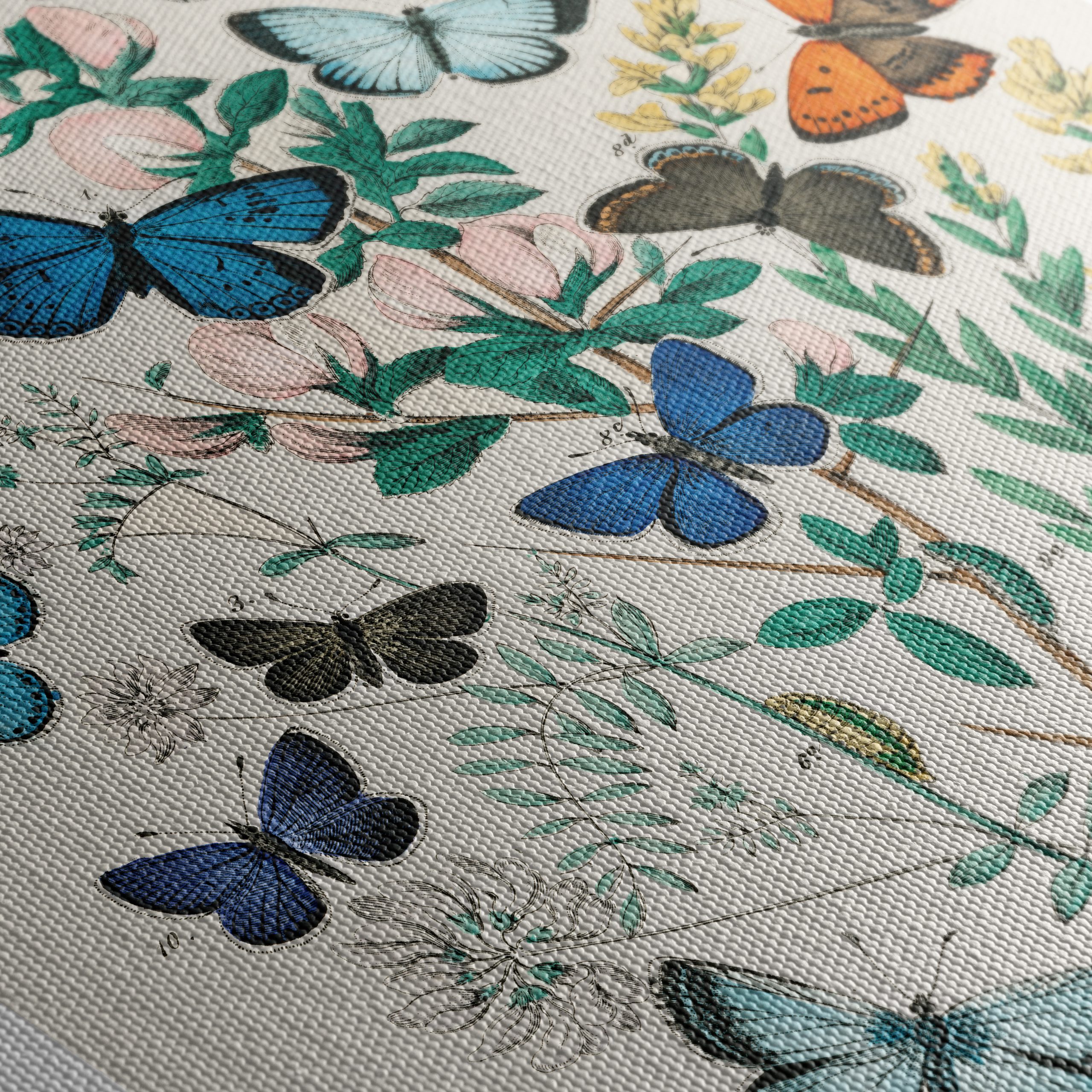 Colorful Botanical Illustration of Butterflies - Image 5