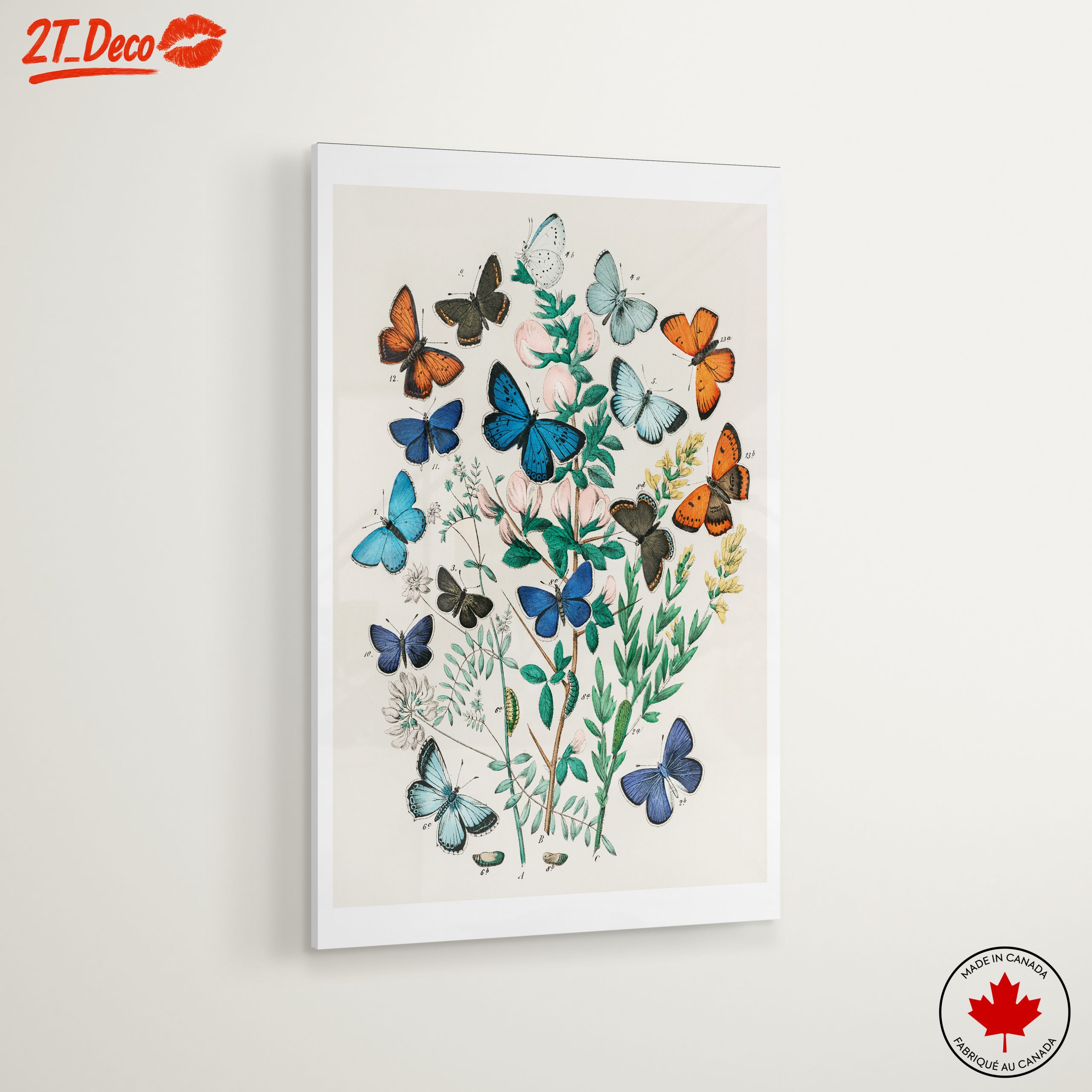 Colorful Botanical Illustration of Butterflies - Image 6