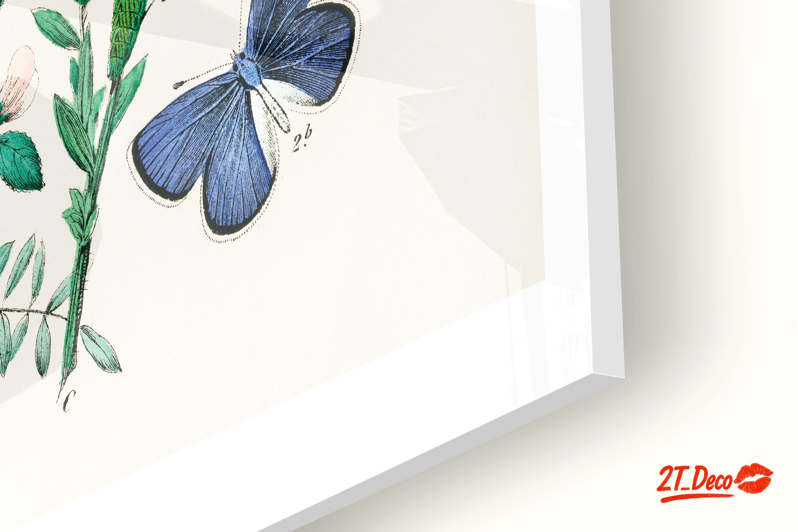 Colorful Botanical Illustration of Butterflies - Image 9