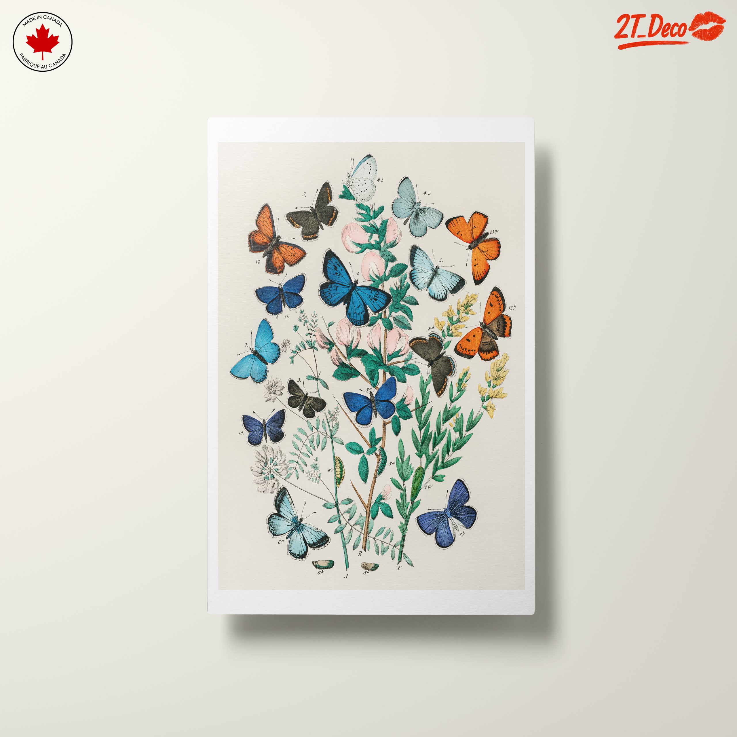 Colorful Botanical Illustration of Butterflies - Image 10