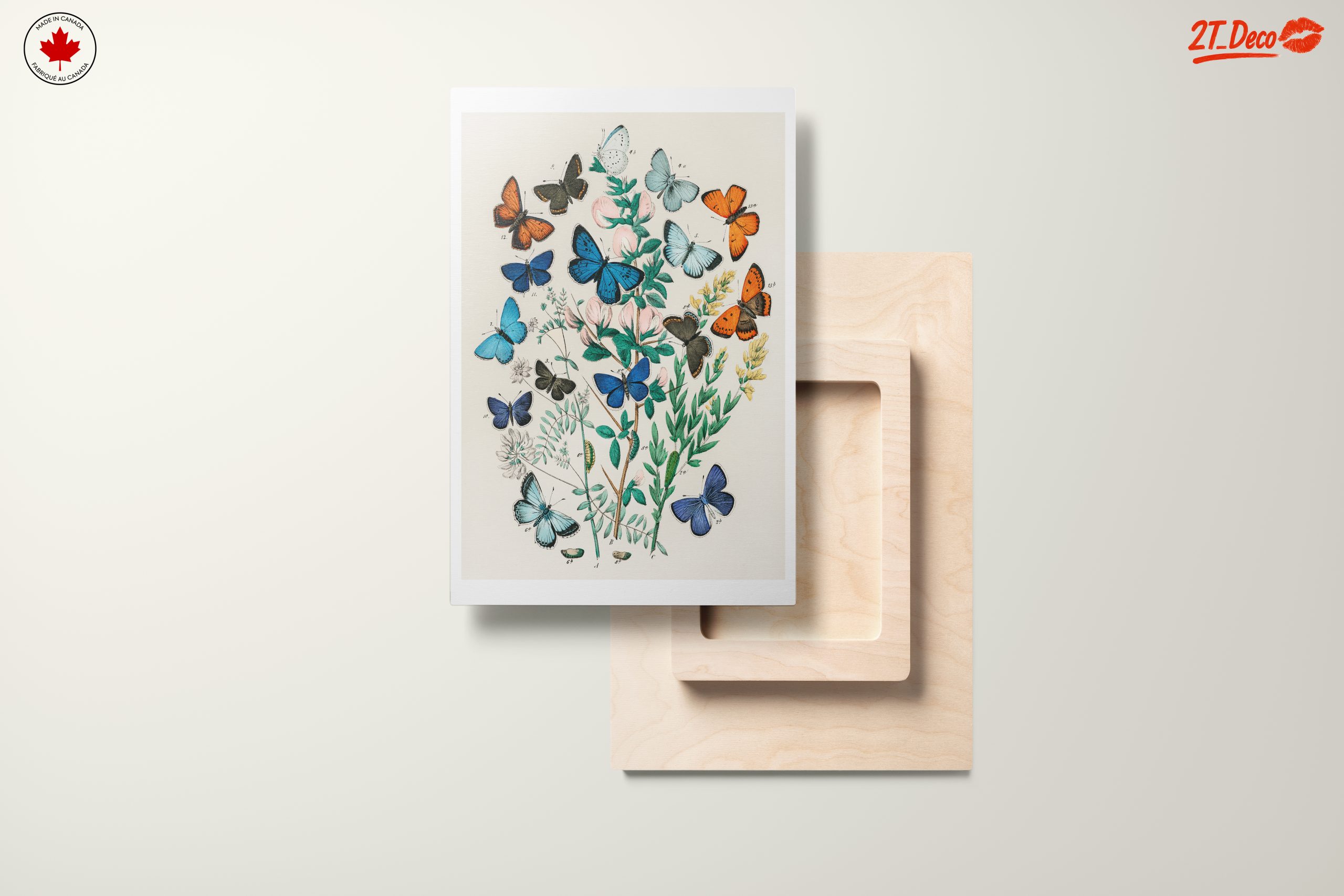 Colorful Botanical Illustration of Butterflies - Image 11