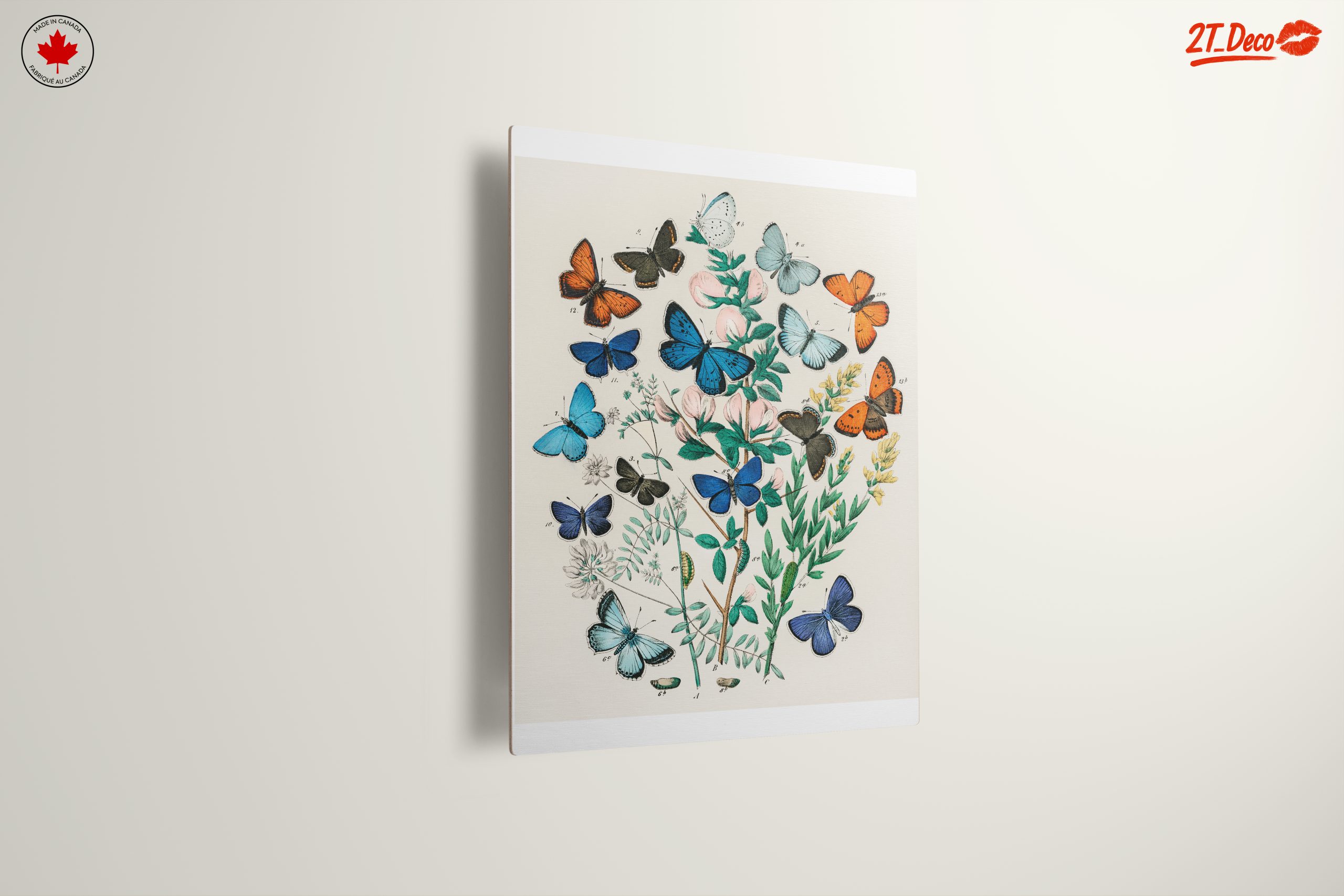 Colorful Botanical Illustration of Butterflies - Image 13