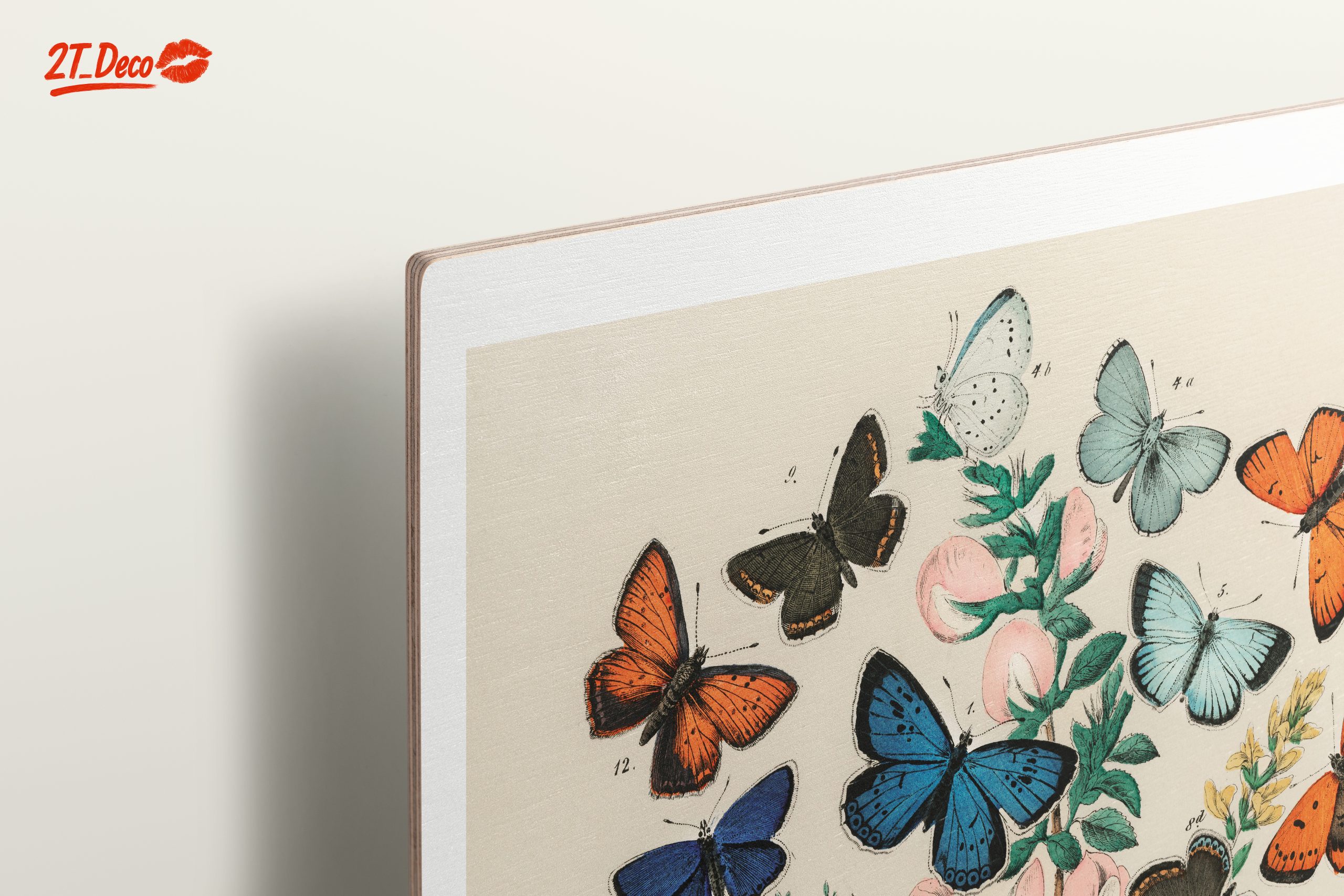 Colorful Botanical Illustration of Butterflies - Image 15