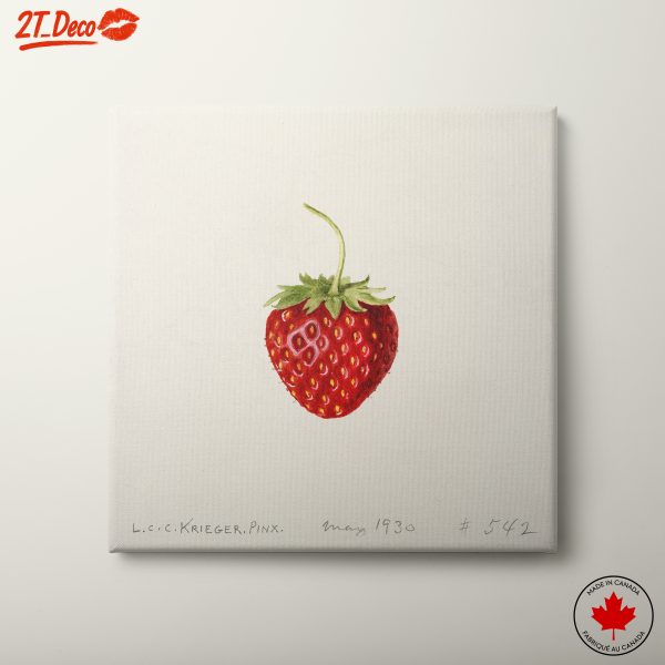 Strawberry Abstract Food Art Piece