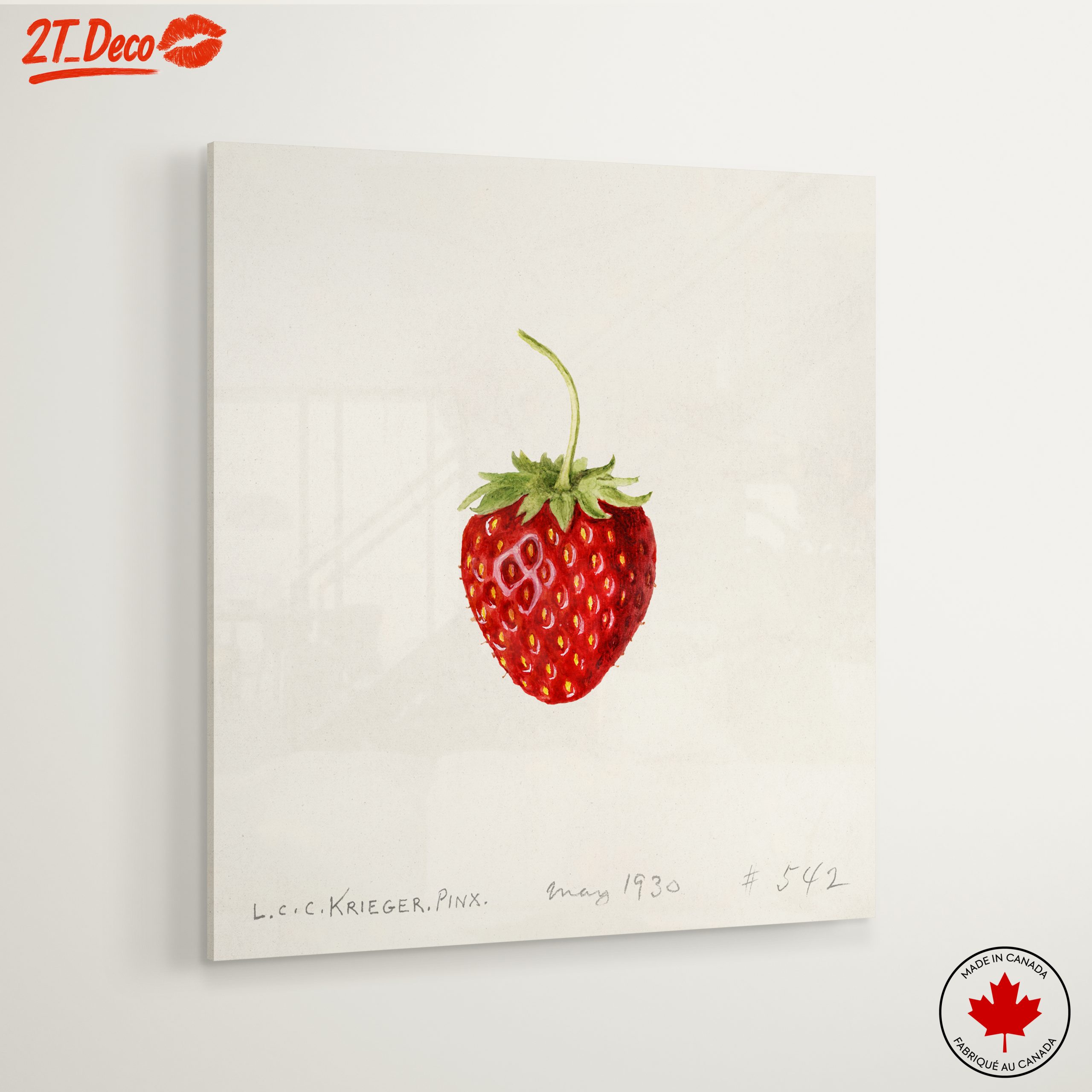 Strawberry Abstract Food Art Piece - Image 6