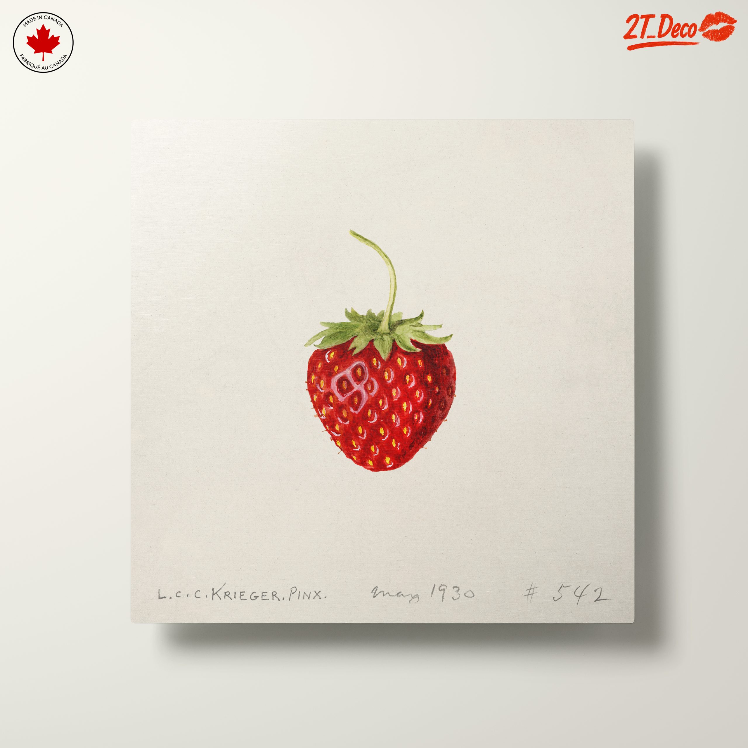 Strawberry Abstract Food Art Piece - Image 10
