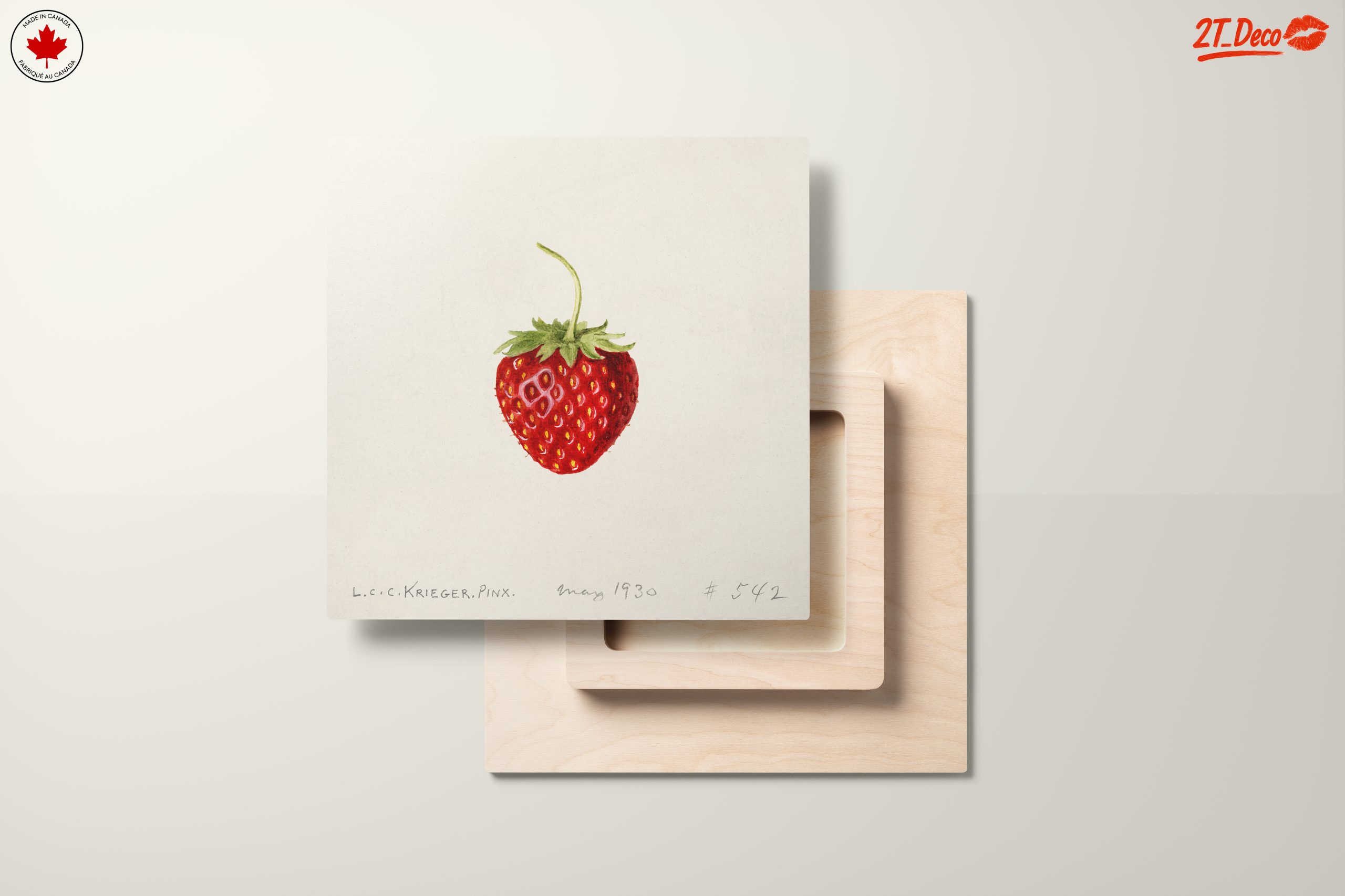 Strawberry Abstract Food Art Piece - Image 11