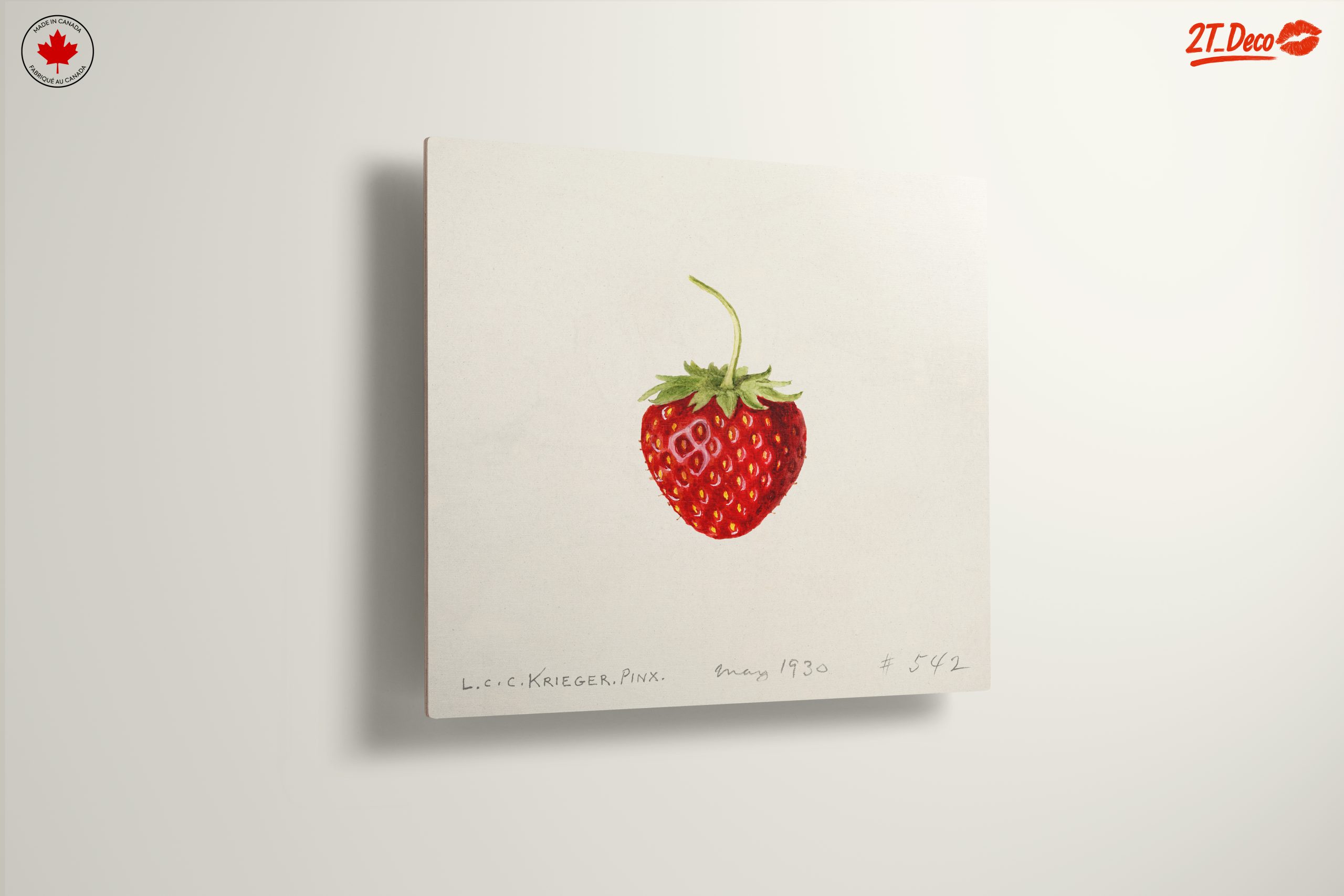 Strawberry Abstract Food Art Piece - Image 13