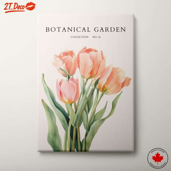 Beautiful Botanical Garden Tulips
