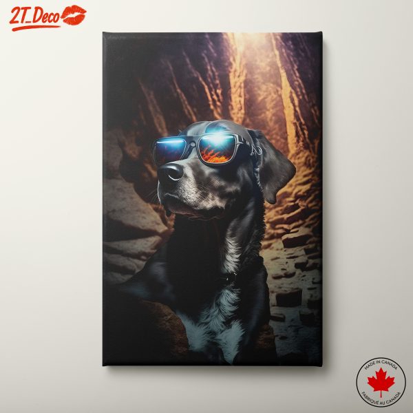 Stylish Dog with Sunglasses in Nature