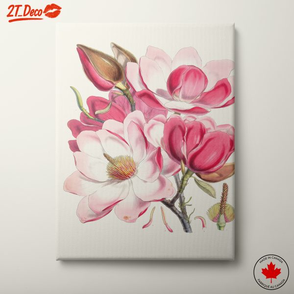 Magnolia Floral Art Print 2