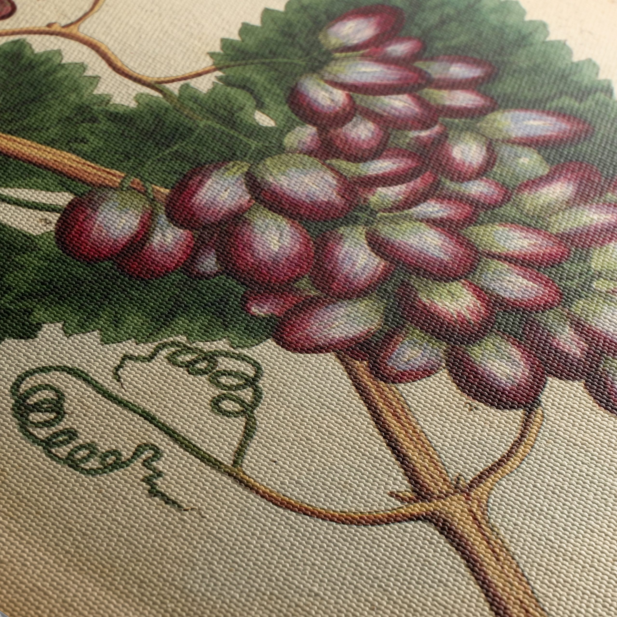 Detailed Botanical Illustration of Grapevine - Image 5