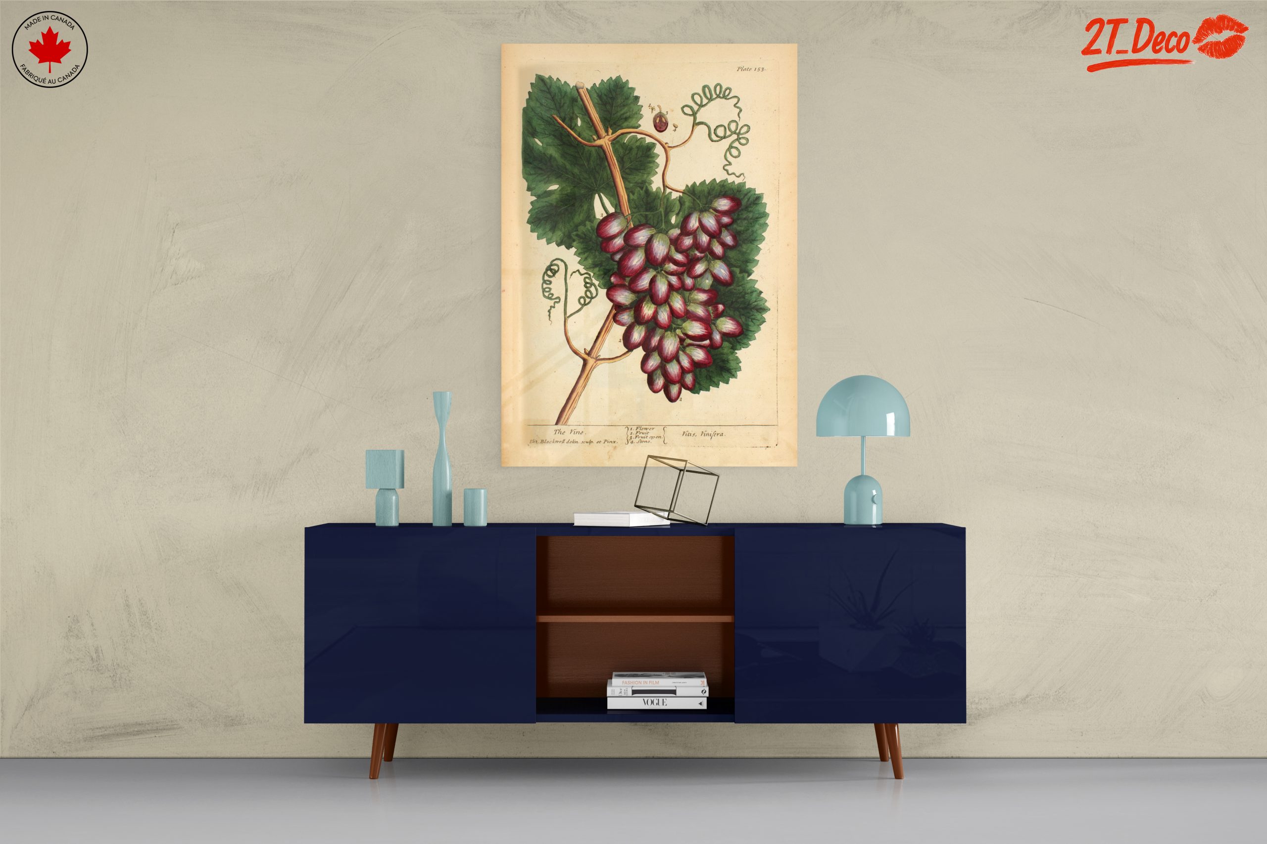 Detailed Botanical Illustration of Grapevine - Image 8