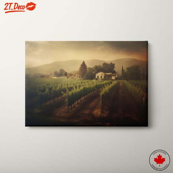 Breathtaking Vineyard Landscape in Twilight