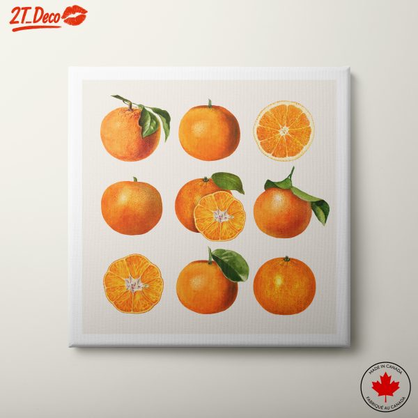 Collection of Oranges in Abstract Art Style