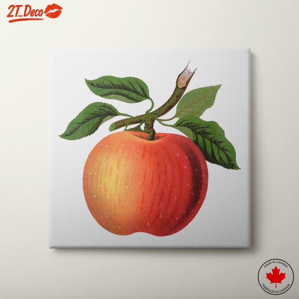 Stylized Apple Artwork with Leaves