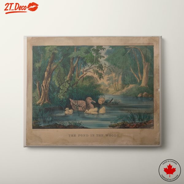 Tranquil Nature Landscape with Pond and Ducks