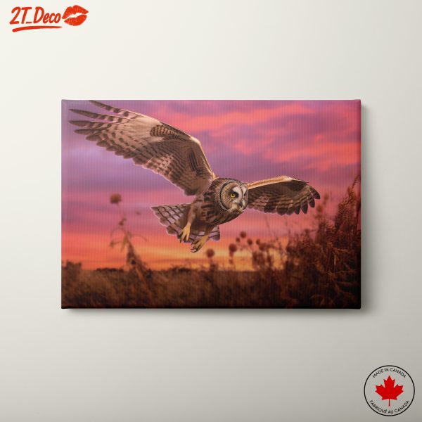 Majestic Owl in Flight at Sunset 2