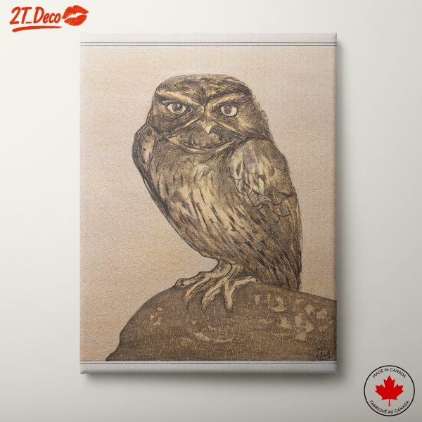Detailed Owl Illustration Art