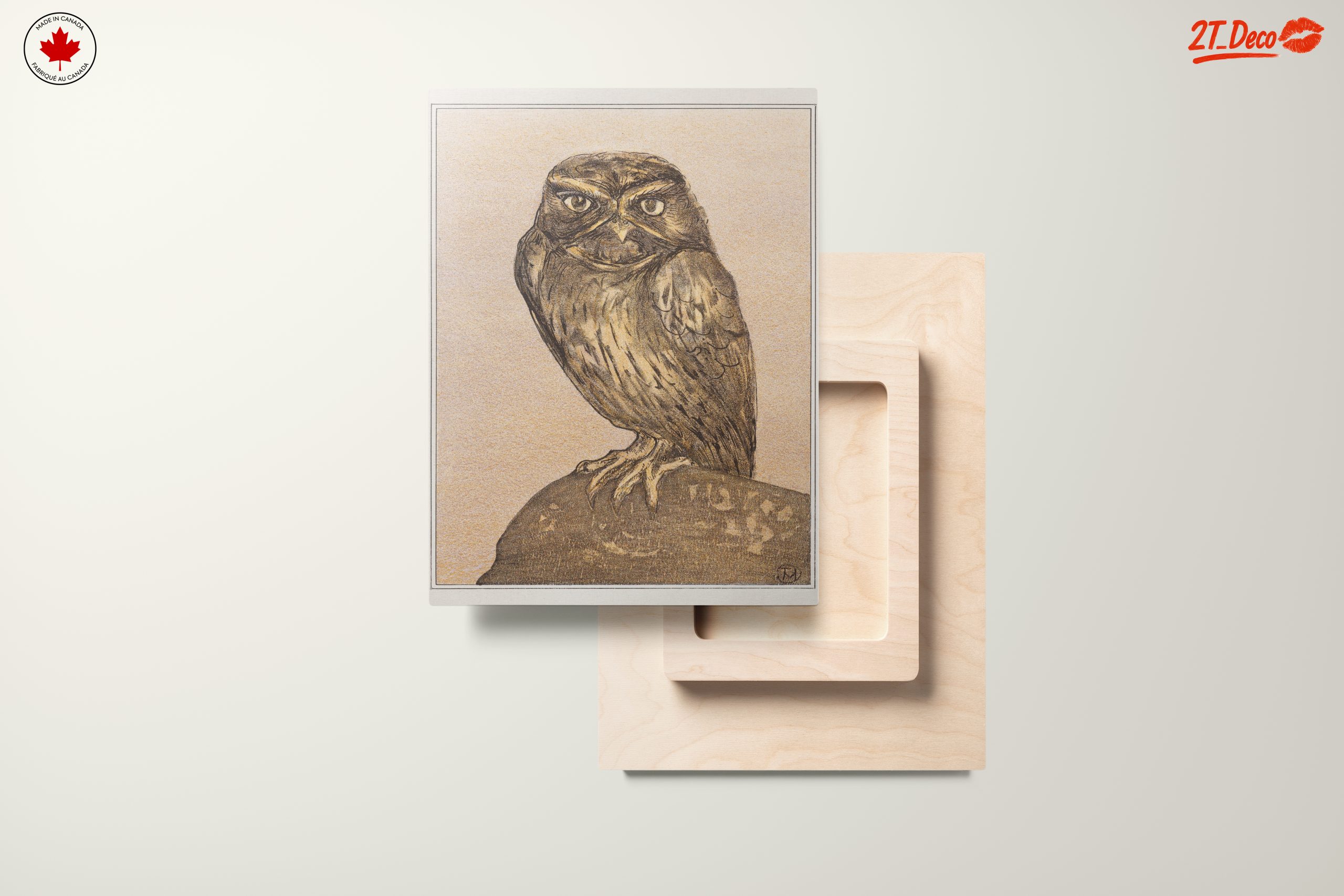 Detailed Owl Illustration Art - Image 11