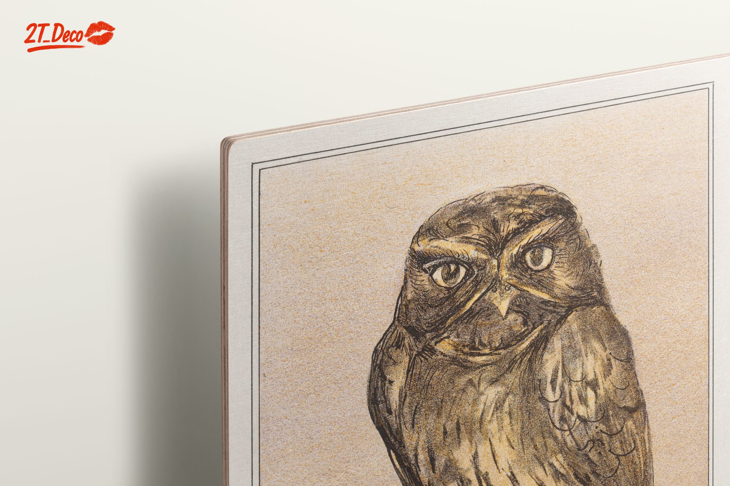 Detailed Owl Illustration Art - Image 15