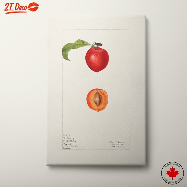 Stylized Abstract Food Art of Peaches