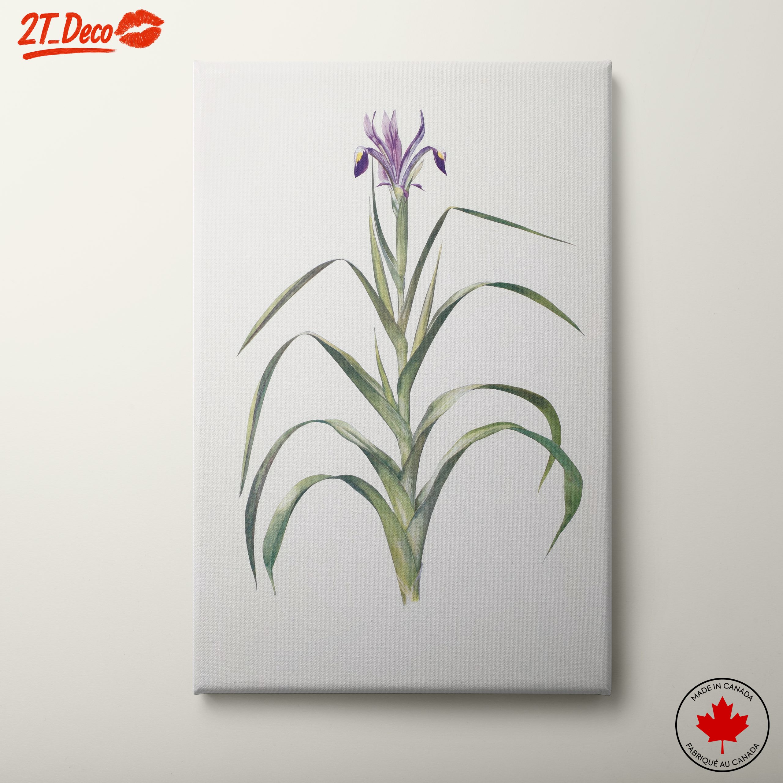 Elegant Iris Botanical Art for Home Decor