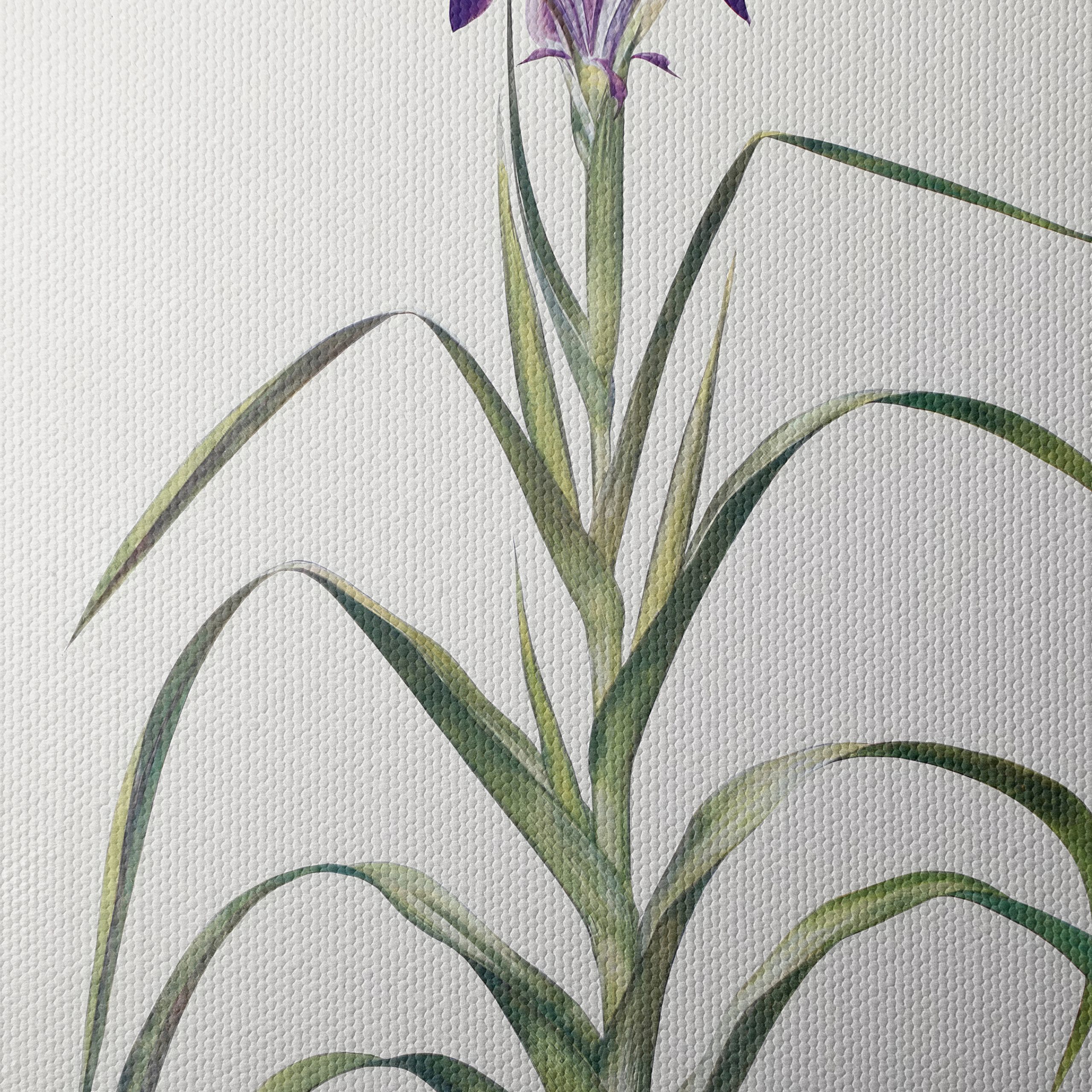 Elegant Iris Botanical Art for Home Decor - Image 4