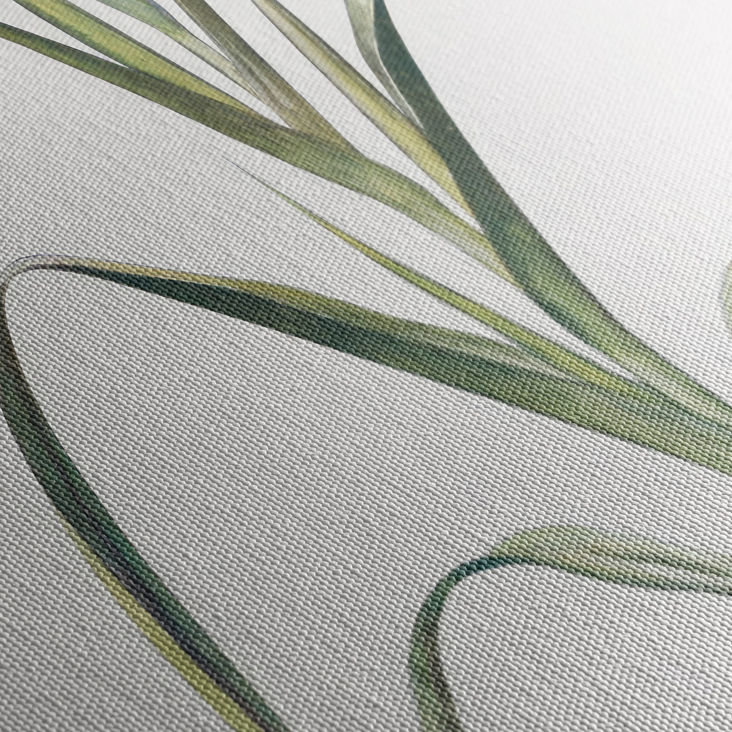 Elegant Iris Botanical Art for Home Decor - Image 5