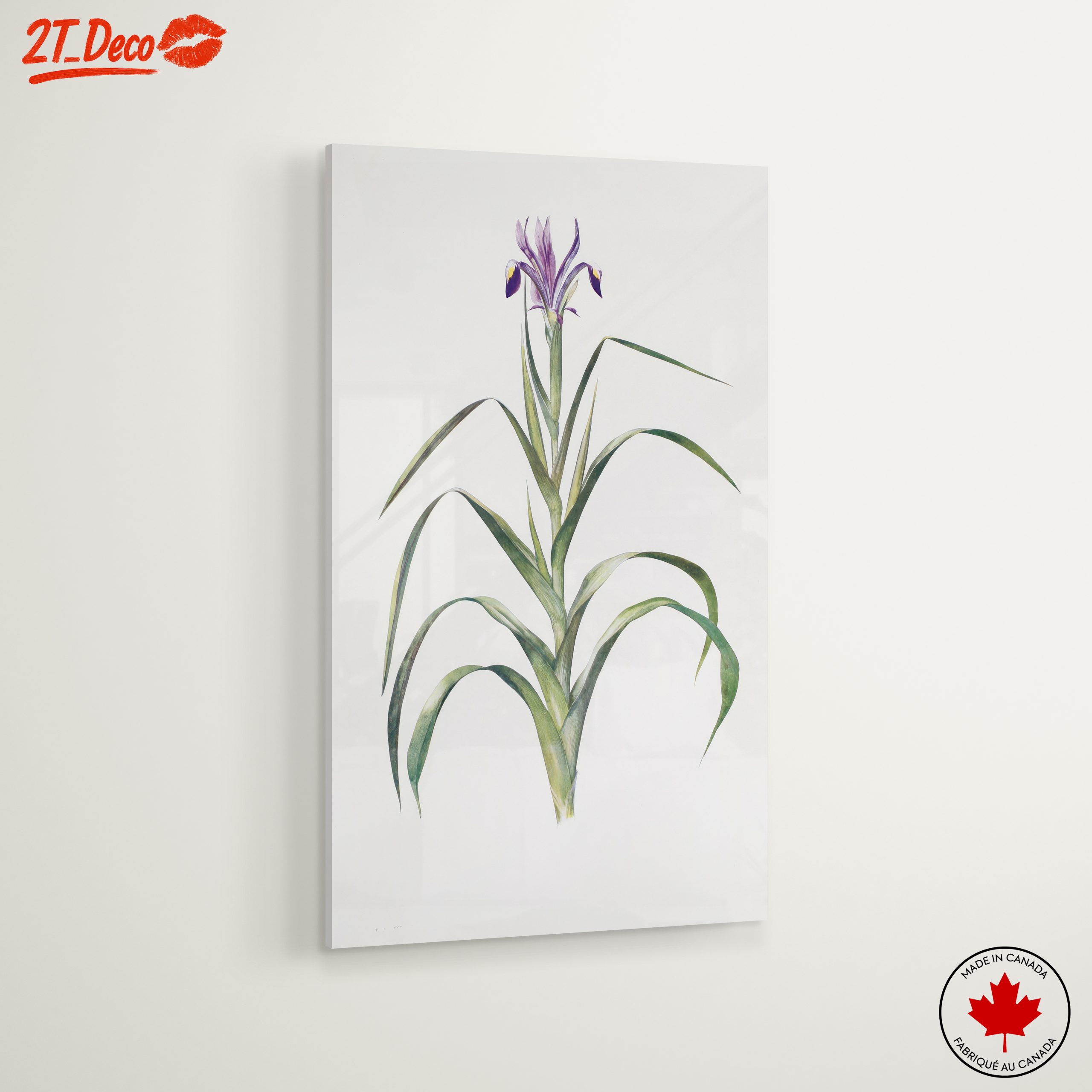 Elegant Iris Botanical Art for Home Decor - Image 6