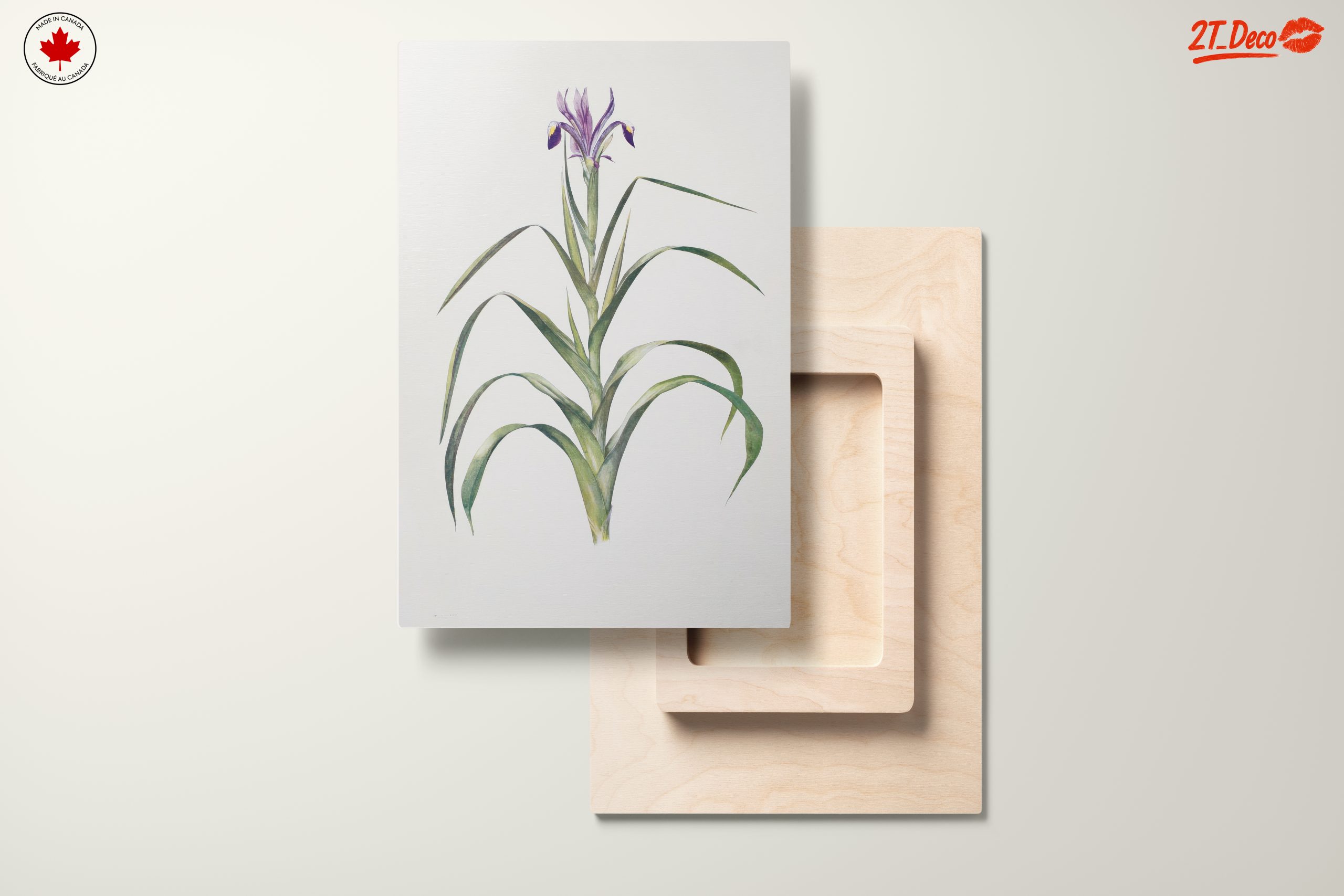 Elegant Iris Botanical Art for Home Decor - Image 11